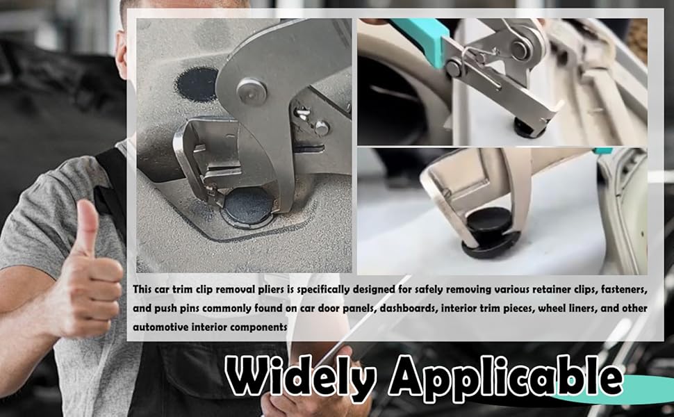 Professional Trim Clip Remover